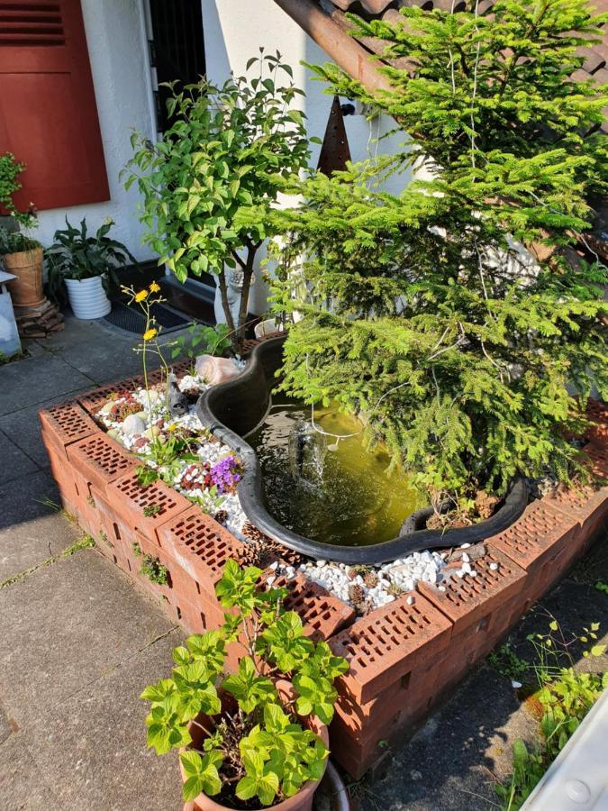 Bnb Haus Weibel Landquart Bagian luar foto